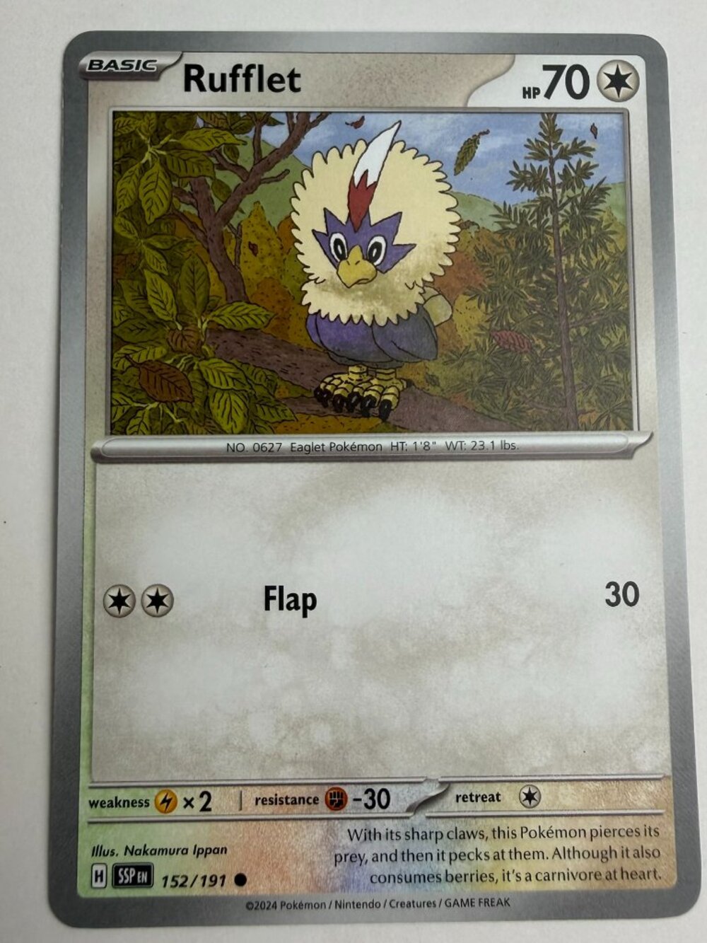 Rufflet 152/191 Common Surging Sparks Pokemon Reverse Holo Near Mint